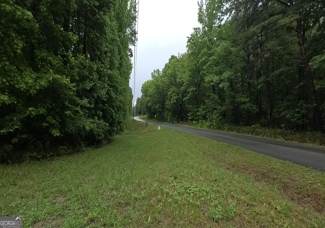 4th image of 0 Brewsterfield Rd, Cedartown, GA 30125 | MLS# 10762751
