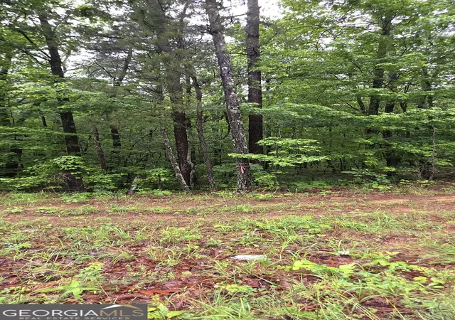 5th image of 0 Brewsterfield Rd, Cedartown, GA 30125 | MLS# 10762751