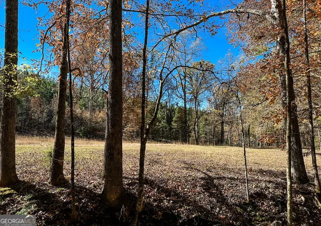 Homes for sale in Monticello, GA | 0 Hwy 16 E, Monticello, GA 31064 | MLS# 10642637