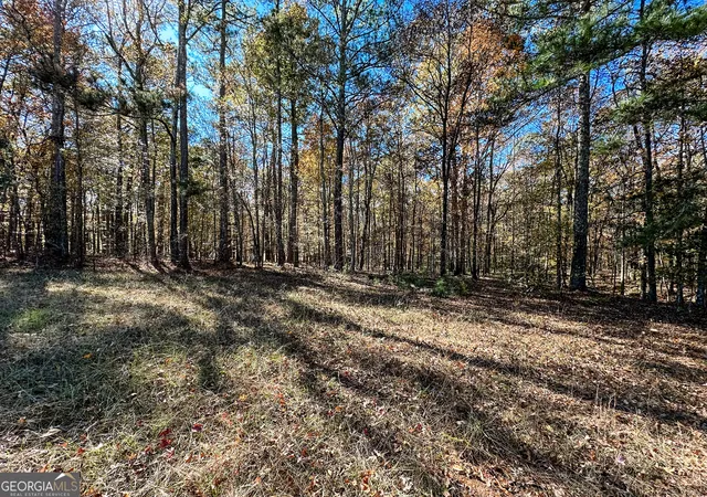 Homes for sale in Monticello, GA | 0 Hwy 16 E, Monticello, GA 31064 | MLS# 10642637