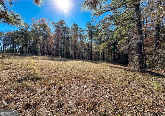 Homes for sale in Monticello, GA | 0 Hwy 16 E, Monticello, GA 31064 | MLS# 10642637
