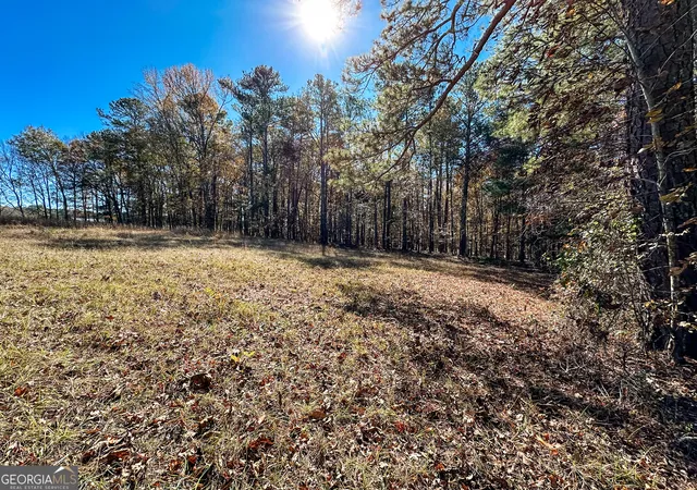 Homes for sale in Monticello, GA | 0 Hwy 16 E, Monticello, GA 31064 | MLS# 10642637