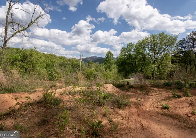 Homes for sale in Hayesville, NC | 0 W Vineyard Rd, Hayesville, NC 28904 | MLS# 10737737