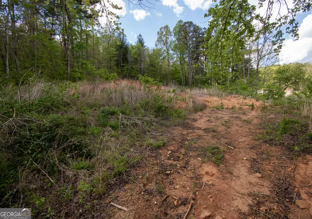 Homes for sale in Hayesville, NC | 0 W Vineyard Rd, Hayesville, NC 28904 | MLS# 10737737