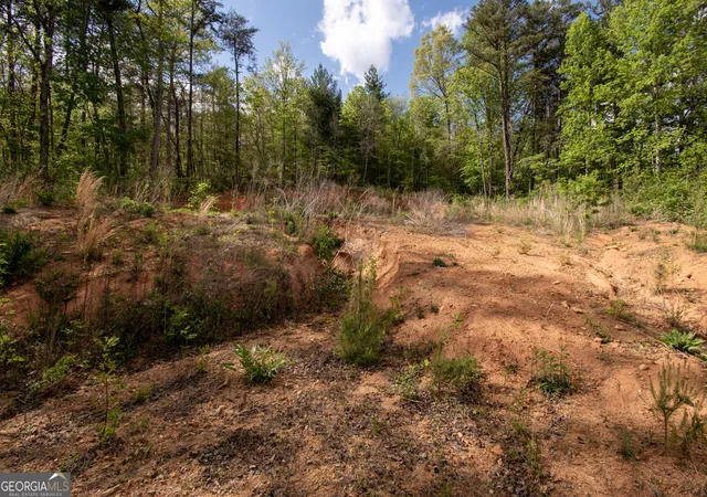 Homes for sale in Hayesville, NC | 0 W Vineyard Rd, Hayesville, NC 28904 | MLS# 10737737