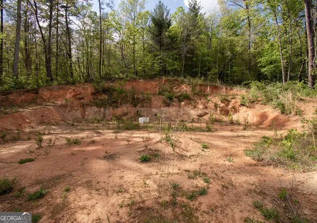 Homes for sale in Hayesville, NC | 0 W Vineyard Rd, Hayesville, NC 28904 | MLS# 10737737