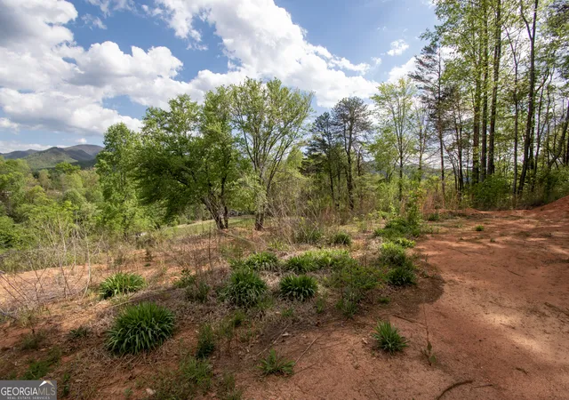 Homes for sale in Hayesville, NC | 0 W Vineyard Rd, Hayesville, NC 28904 | MLS# 10737737