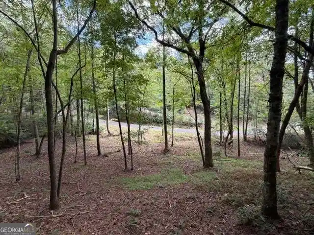 Photo 1 of Land for sale at 133 Seneca Dr, Ellijay, GA 30540 | MLS# 10857785 | Listing updated on 2026-10-16