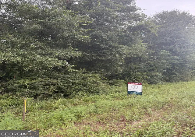 2nd image of Lot 1 Harrison Davisboro Rd, Davisboro, GA 31018 | MLS# 10800541