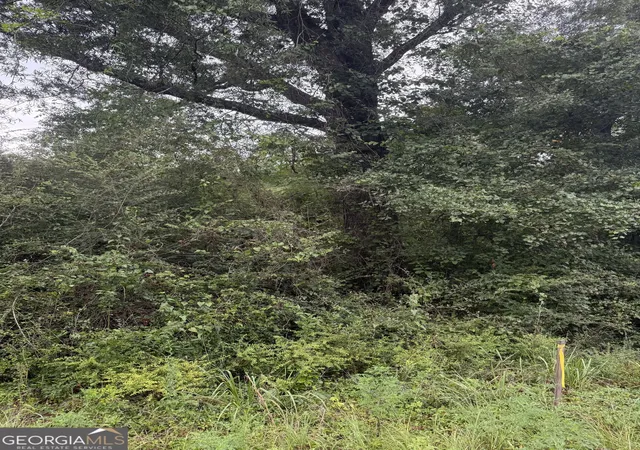 3rd image of Lot 1 Harrison Davisboro Rd, Davisboro, GA 31018 | MLS# 10800541
