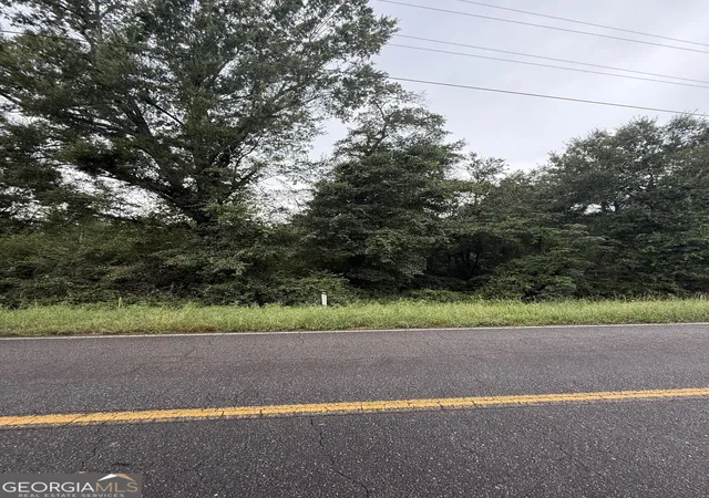 4th image of Lot 1 Harrison Davisboro Rd, Davisboro, GA 31018 | MLS# 10800541