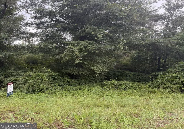 5th image of Lot 1 Harrison Davisboro Rd, Davisboro, GA 31018 | MLS# 10800541