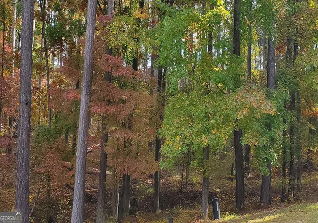 5th image of 2320 Club Dr, Greensboro, GA 30642 | MLS# 10811732