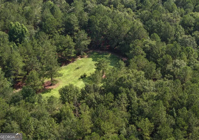 1st image of 0 Sassertown Rd, Rocky Ford, GA 30455 | MLS# 10809322