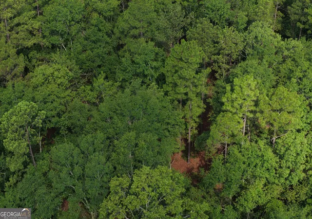 2nd image of 0 Sassertown Rd, Rocky Ford, GA 30455 | MLS# 10809322