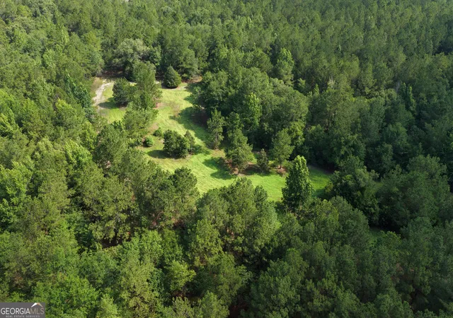 Photo 3 of Land for sale at 0 Sassertown Rd, Rocky Ford, GA 30455 | MLS# 10809322 | Listing updated on 2026-08-03