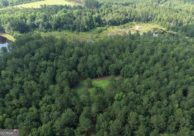 Photo 3 of House for sale at 0 Sassertown Rd, Rocky Ford, GA 30455 | MLS# 10809322 | Listing updated on 2026-08-03