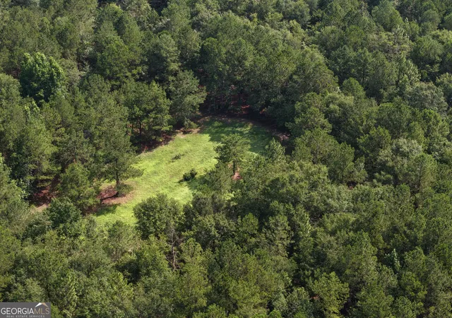 Photo 4 of House for sale at 0 Sassertown Rd, Rocky Ford, GA 30455 | MLS# 10809322 | Listing updated on 2026-08-03