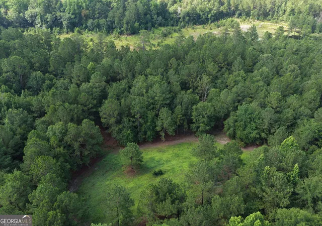 9th image of 0 Sassertown Rd, Rocky Ford, GA 30455 | MLS# 10809322