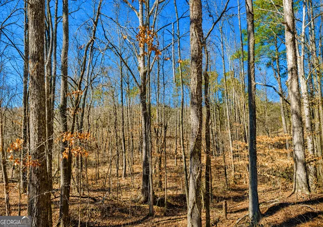 Homes for sale in Jasper, GA | 2 Acres Pettit Rd, Jasper, GA 30143 | MLS# 10794768