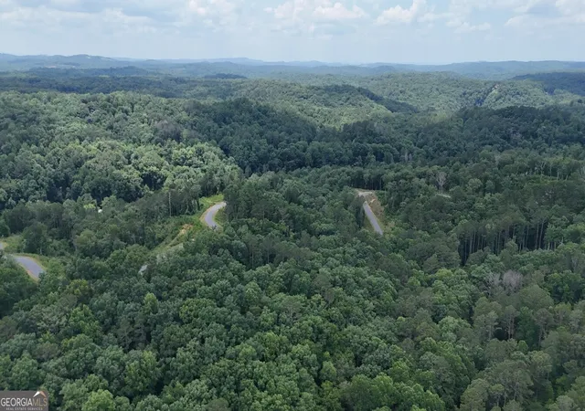 25th image of 0 River View Trail #LOT 264, Ellijay, GA 30540 | MLS# 10797306