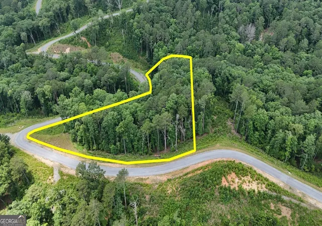 2nd image of 0 River View Trail #LOT 264, Ellijay, GA 30540 | MLS# 10797306