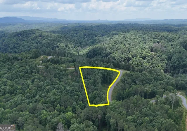 Photo 3 of Land for sale at 0 River View Trl #264, Ellijay, GA 30540 | MLS# 10797306 | Listing updated on 2026-07-15