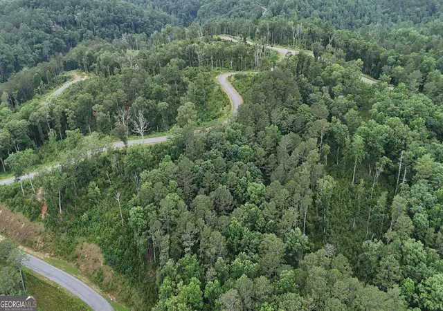 Photo 3 of Land for sale at 0 River View Trl #264, Ellijay, GA 30540 | MLS# 10797306 | Listing updated on 2026-07-15