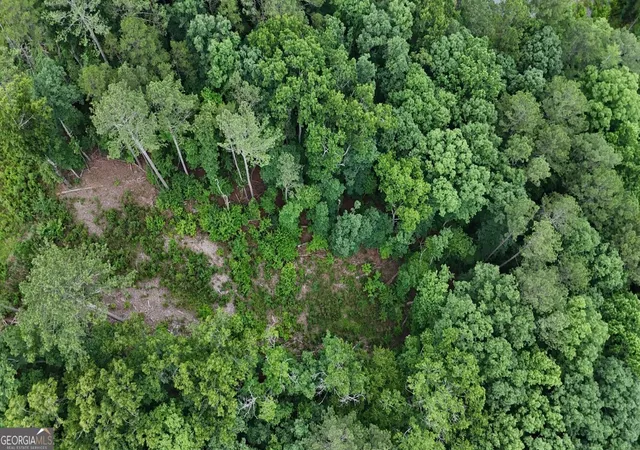Photo 4 of Land for sale at 0 River View Trl #264, Ellijay, GA 30540 | MLS# 10797306 | Listing updated on 2026-07-15