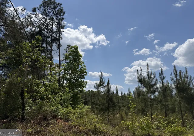 3rd image of 001 George Milling Rd, Cuthbert, GA 39840 | MLS# 10776663