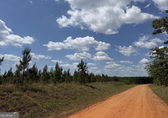 4th image of 001 George Milling Rd, Cuthbert, GA 39840 | MLS# 10776663