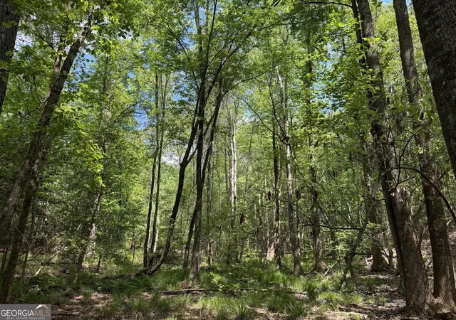 5th image of 001 George Milling Rd, Cuthbert, GA 39840 | MLS# 10776663