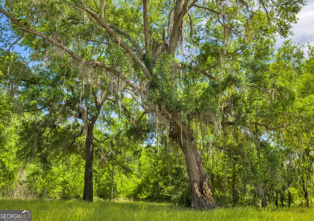 4th image of 3807 Val Tech Rd, Valdosta, GA 31602 | MLS# 10740114