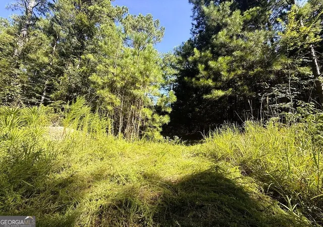 4th image of 2604 Hughes Rd, Bowman, GA 30624 | MLS# 10828364