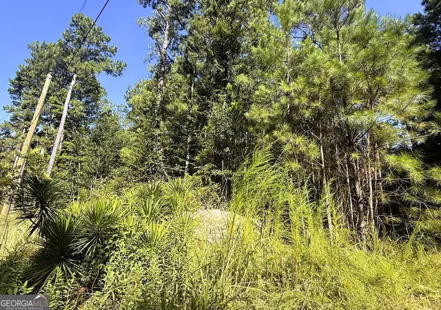 5th image of 2604 Hughes Rd, Bowman, GA 30624 | MLS# 10828364