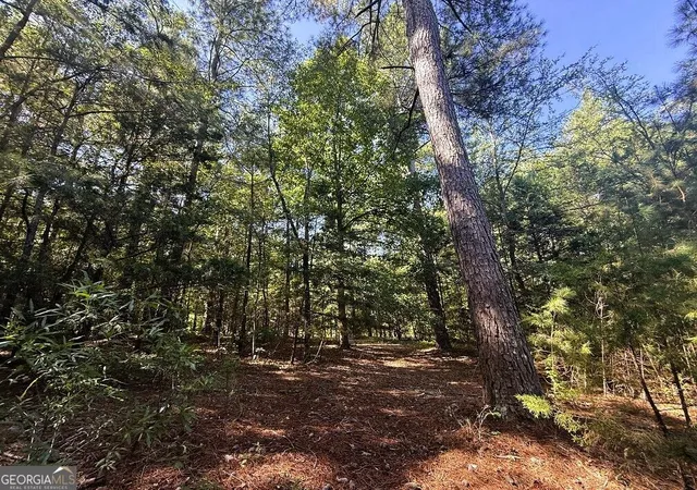 9th image of 2604 Hughes Rd, Bowman, GA 30624 | MLS# 10828364