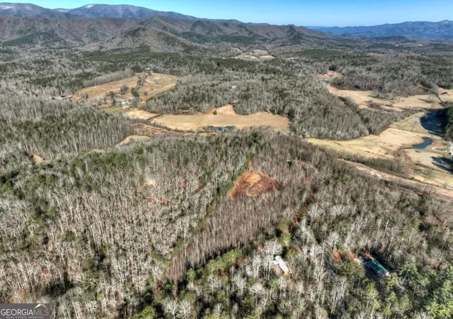 Photo 1 of Land for sale at Lt 131 & 132 Pack Crk Rd, Blue Ridge, GA 30513 | MLS# 10809003 | Listing updated on 2026-08-03