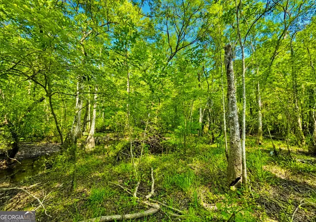 Land for sale at 00 Herrin Lake, Nahunta, GA 31553 | MLS# 10824764