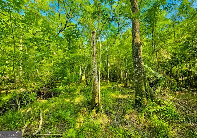Photo 2 of Land for sale at 00 Herrin Lake, Nahunta, GA 31553 | MLS# 10824764 | Listing updated on 2026-08-26