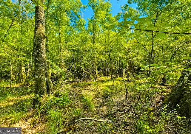 Photo 3 of Land for sale at 00 Herrin Lake, Nahunta, GA 31553 | MLS# 10824764 | Listing updated on 2026-08-26