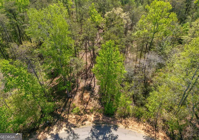 5th image of 0 Orchard Dr Lo Orchard Dr, Clarkesville, GA 30523 | MLS# 10738507