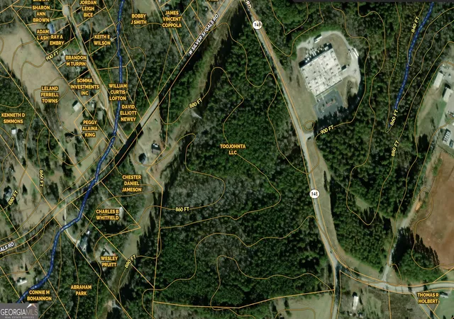 Homes for sale in Eastanollee, GA | 0 Hwy 145, Eastanollee, GA 30538 | MLS# 10780248