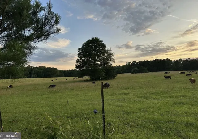 Photo 1 of Land for sale at 4091 Hollonville Rd, Williamson, GA 30292 | MLS# 10815809 | Listing updated on 2026-08-13