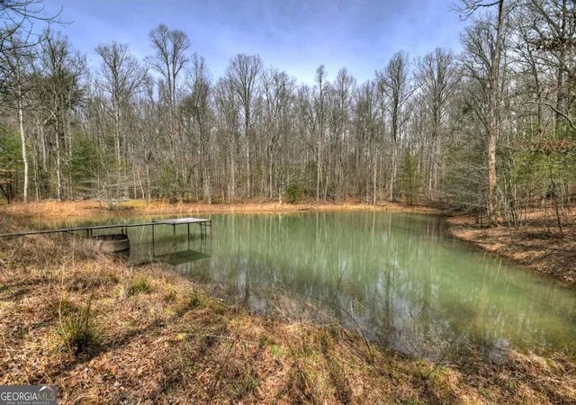 2nd image of 852 Ac Mcnelley Rd, Morganton, GA 30560 | MLS# 10726905