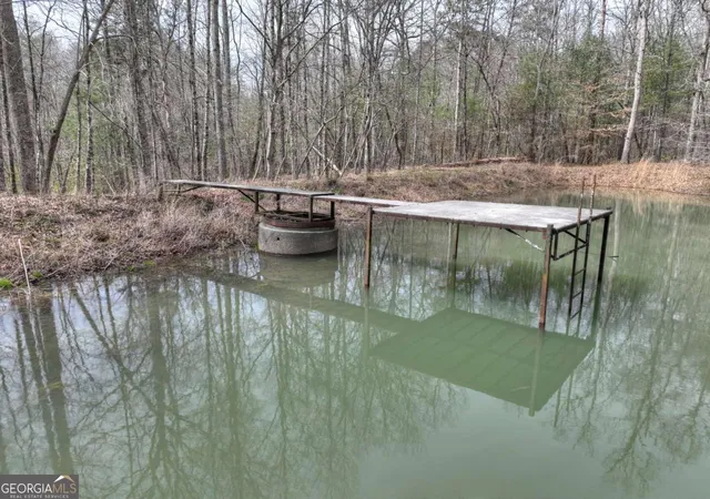 3rd image of 852 Ac Mcnelley Rd, Morganton, GA 30560 | MLS# 10726905
