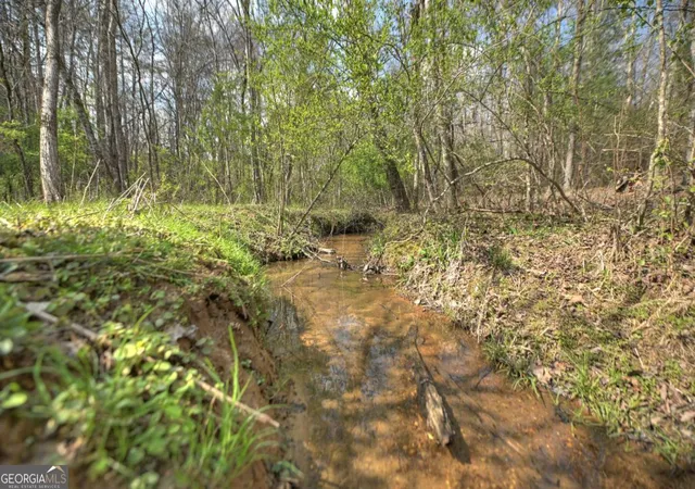 47th image of 852 Ac Mcnelley Rd, Morganton, GA 30560 | MLS# 10726905