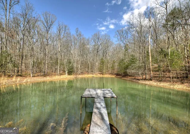 4th image of 852 Ac Mcnelley Rd, Morganton, GA 30560 | MLS# 10726905