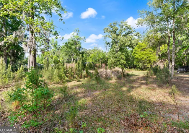 Photo 3 of Land for sale at 1054 Peaceful Valley Dr NE, Townsend, GA 31331 | MLS# 10734325 | Listing updated on 2026-04-30