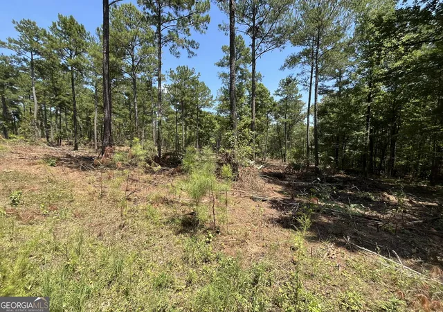 Photo 2 of Land for sale at Lot 18 Gordon Rd, Forsyth, GA 31029 | MLS# 10793890 | Listing updated on 2026-09-14