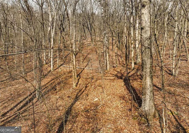1st image of Lot 6 Mount Mincie Rd, Murrayville, GA 30564 | MLS# 10823130